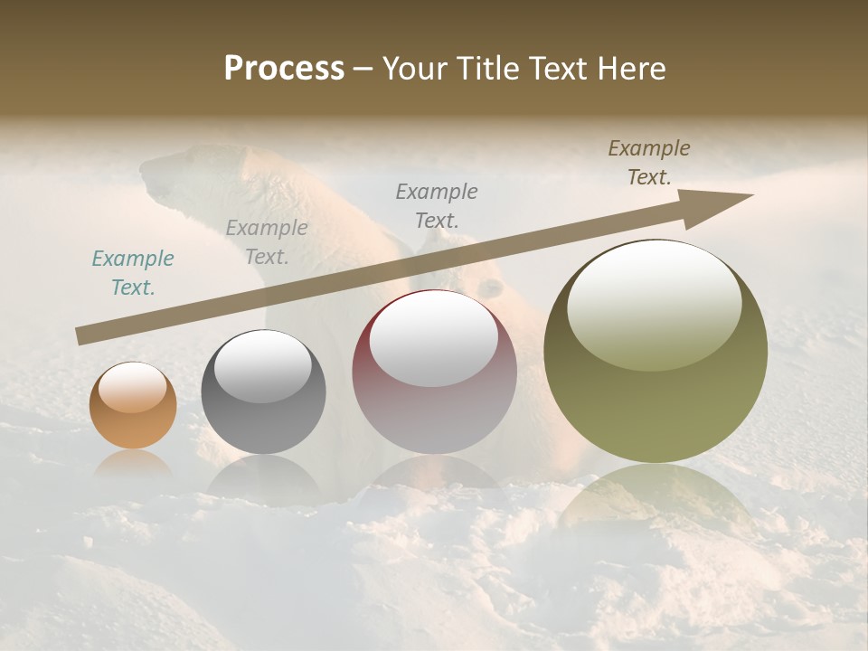 Cold Young Animal PowerPoint Template