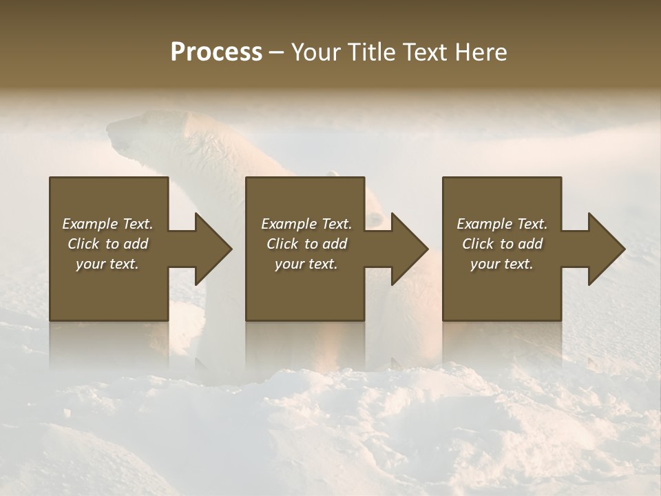Cold Young Animal PowerPoint Template