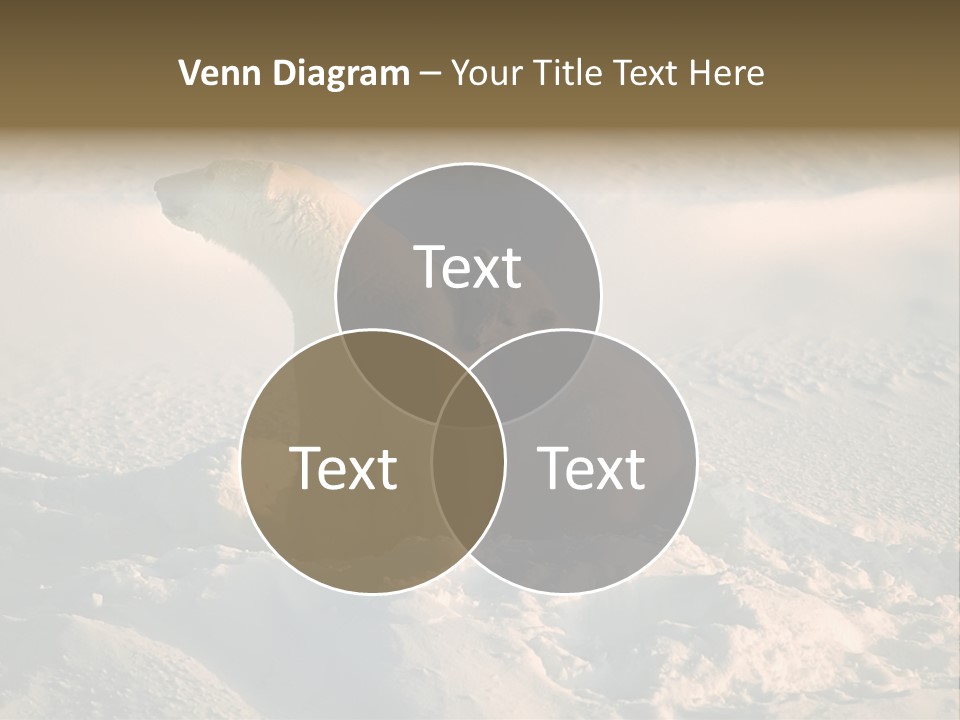 Cold Young Animal PowerPoint Template