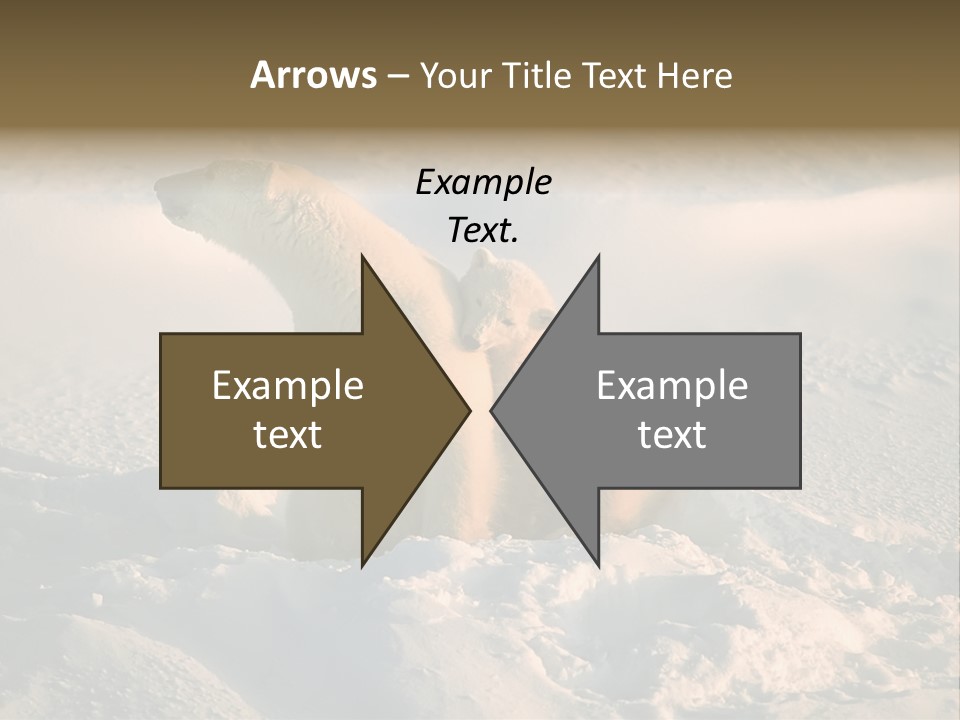 Cold Young Animal PowerPoint Template