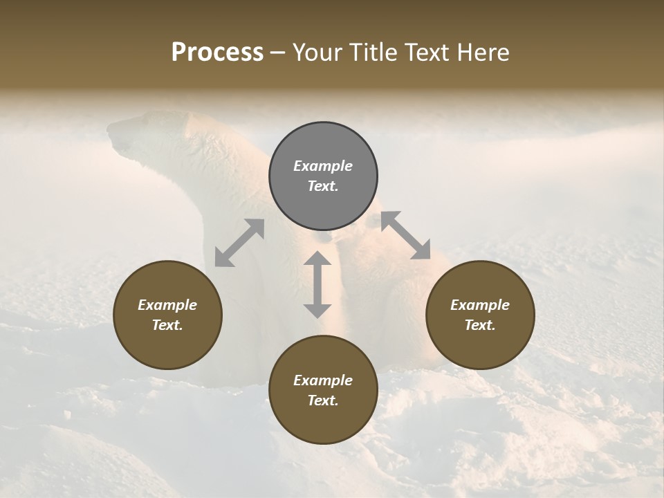 Cold Young Animal PowerPoint Template