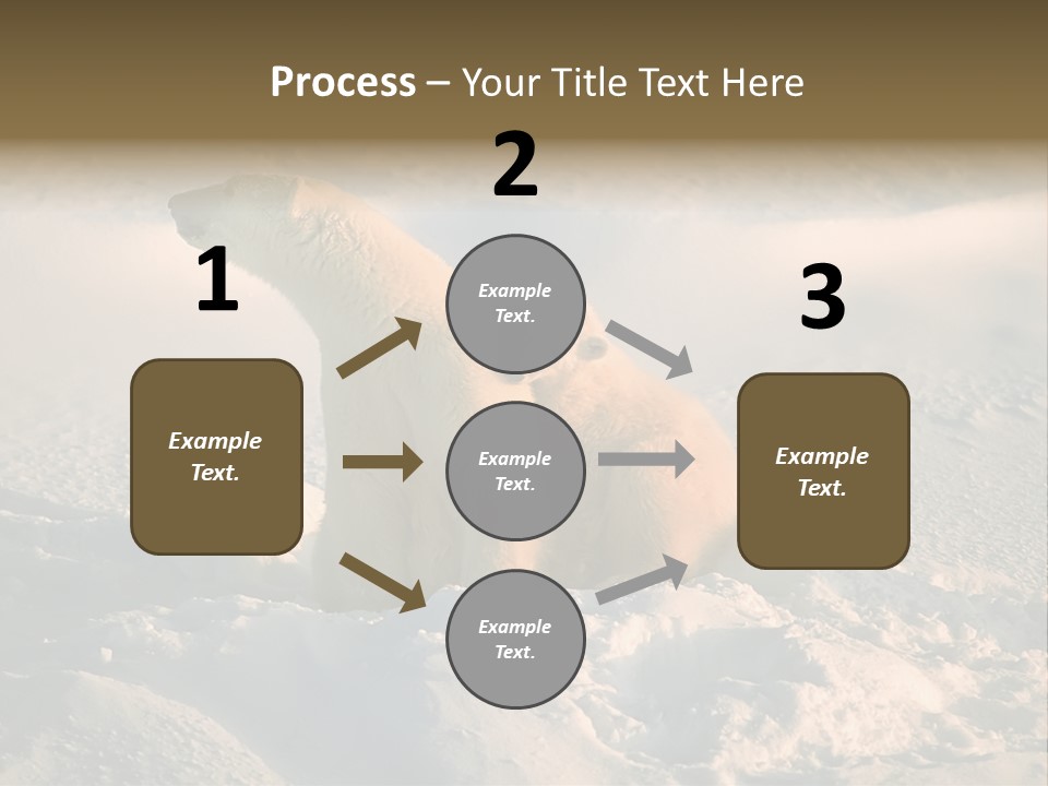 Cold Young Animal PowerPoint Template