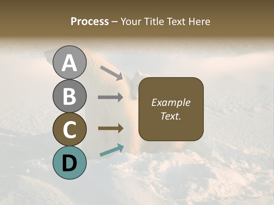 Cold Young Animal PowerPoint Template