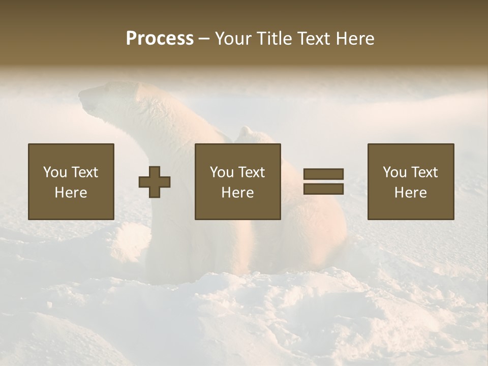 Cold Young Animal PowerPoint Template