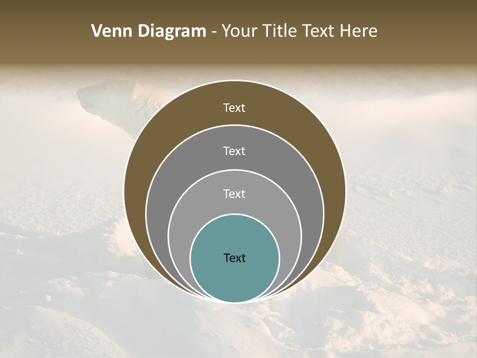Cold Young Animal PowerPoint Template