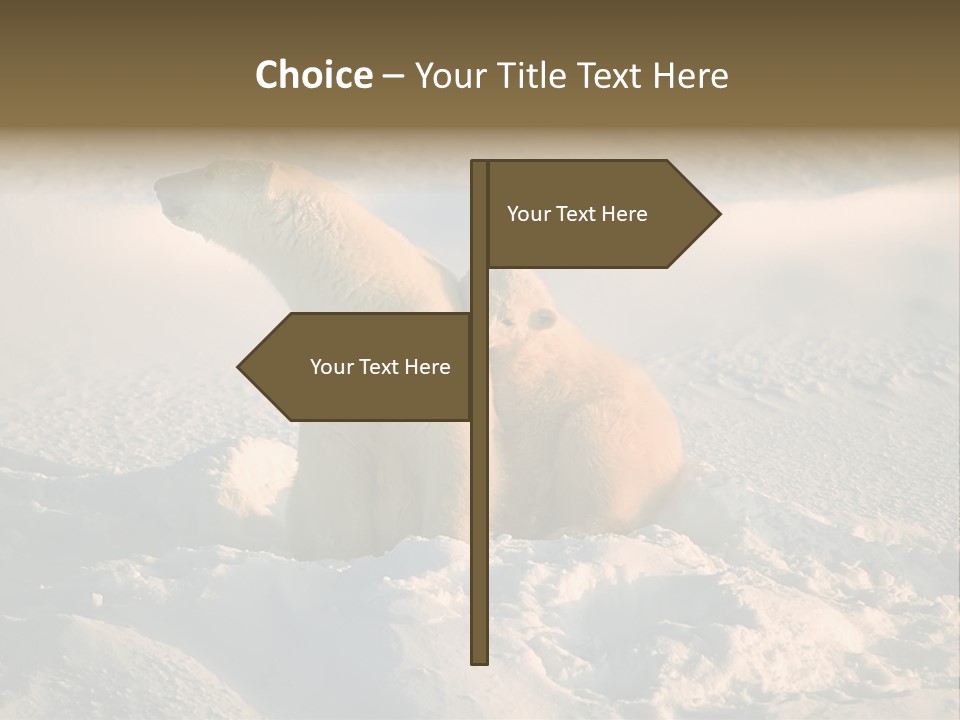 Cold Young Animal PowerPoint Template