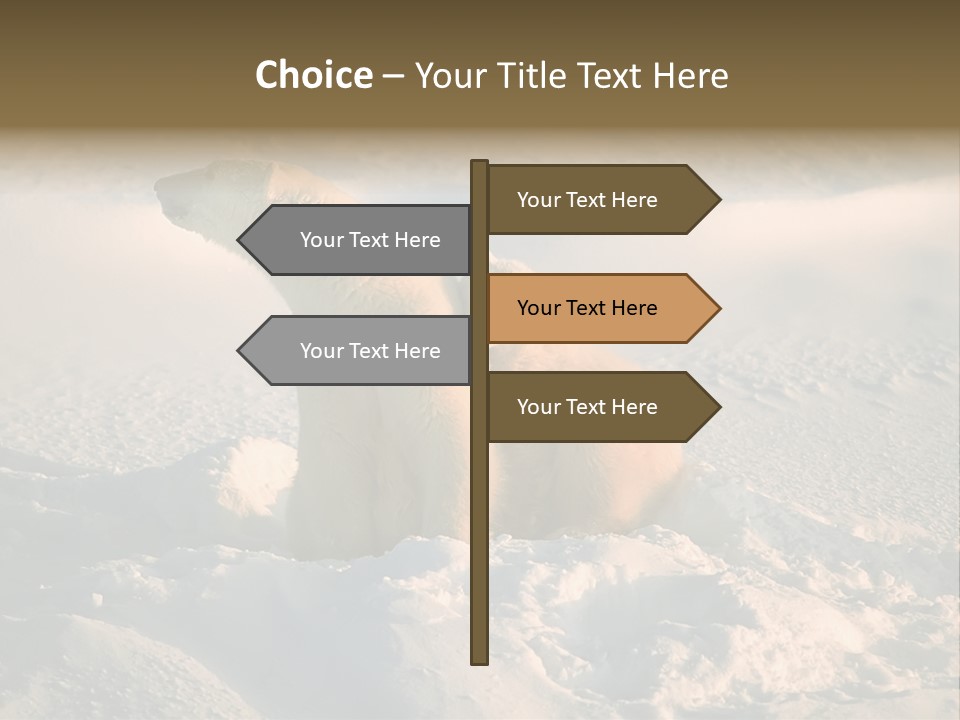 Cold Young Animal PowerPoint Template