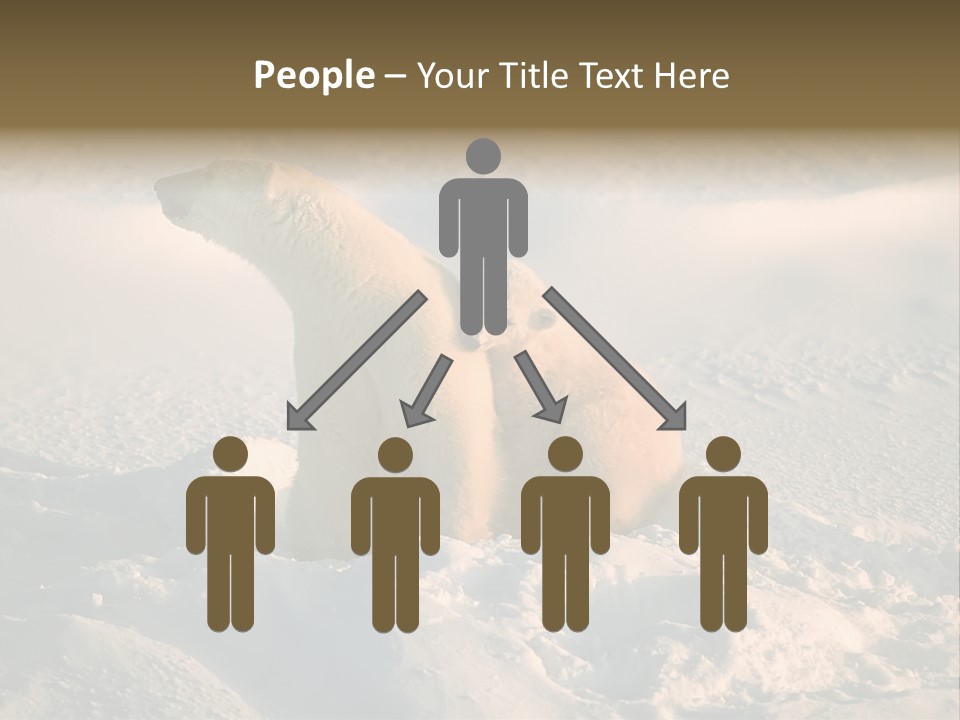 Cold Young Animal PowerPoint Template