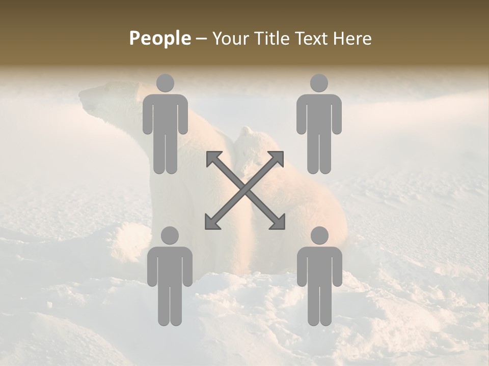 Cold Young Animal PowerPoint Template