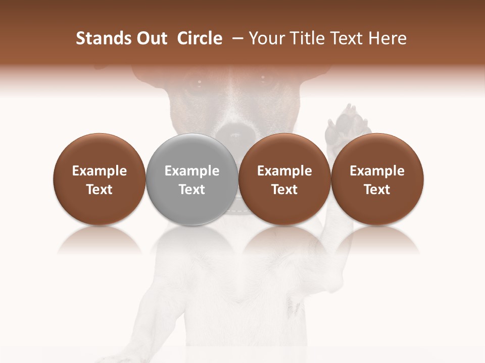 White Shake Faithful PowerPoint Template