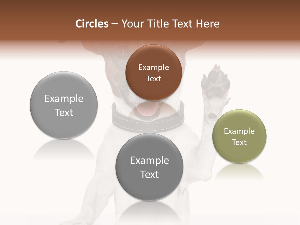 White Shake Faithful PowerPoint Template