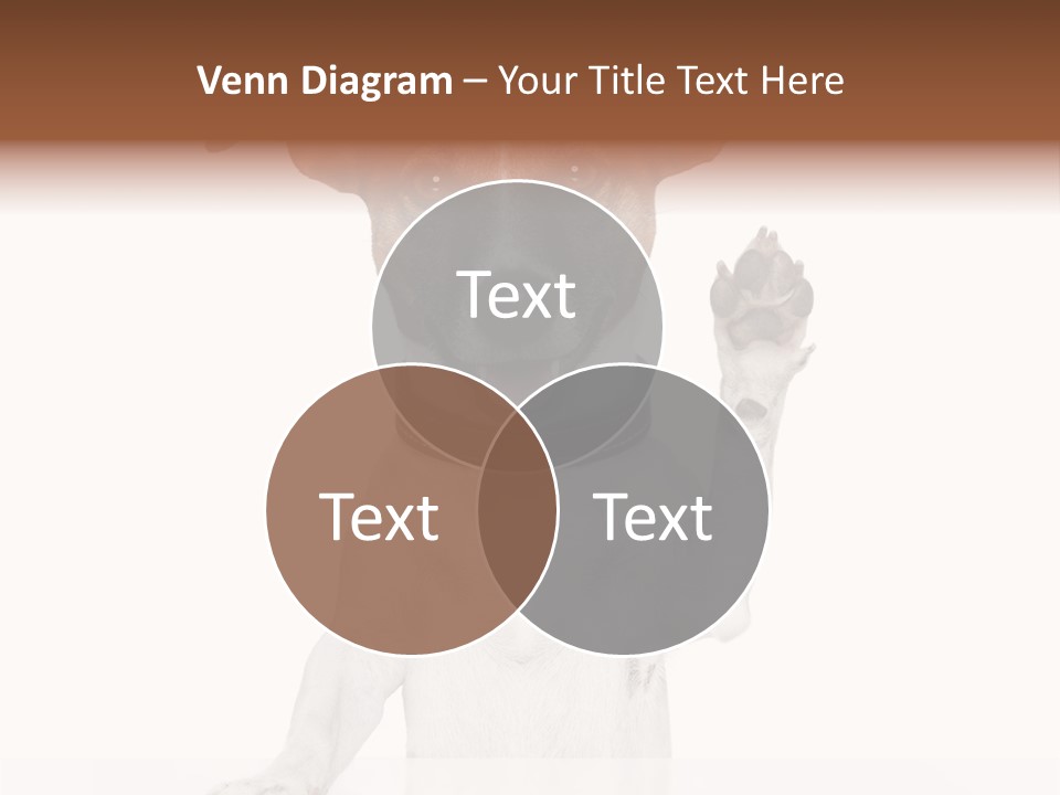 White Shake Faithful PowerPoint Template