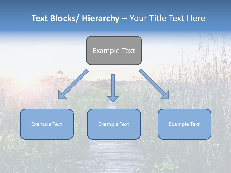 Natural Sun Sunset PowerPoint Template