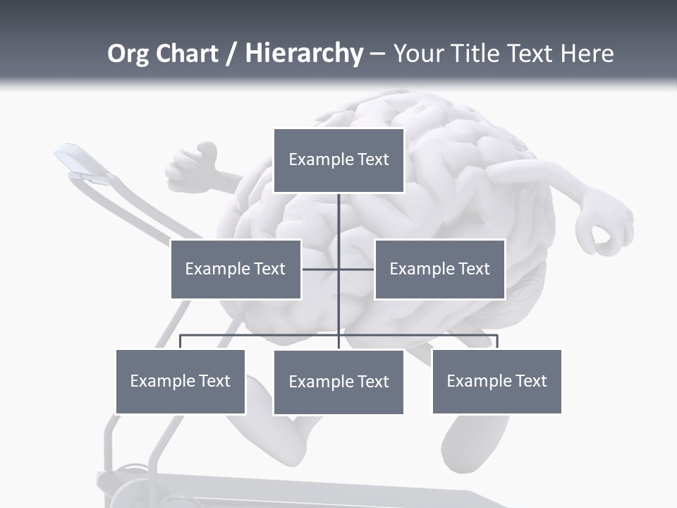 Diet Gym Sport PowerPoint Template