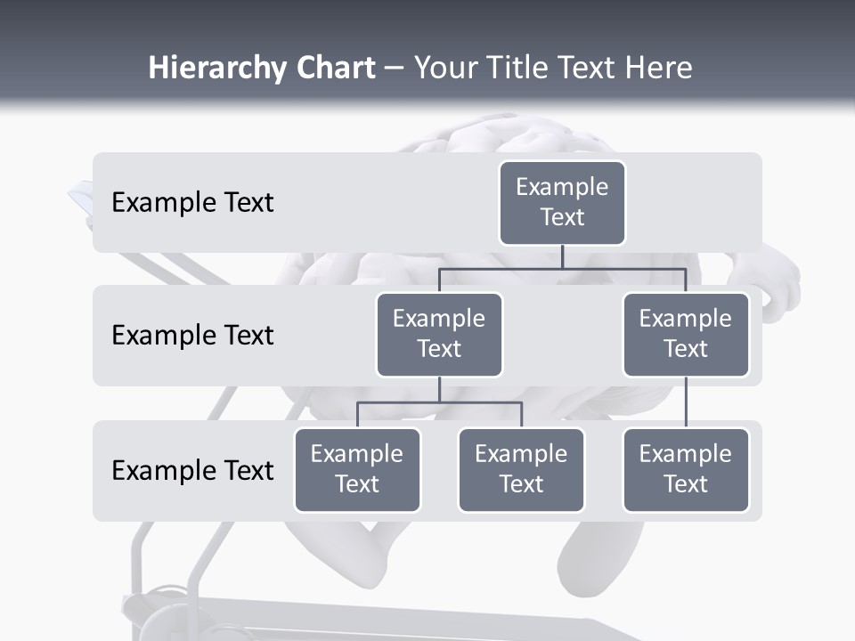 Diet Gym Sport PowerPoint Template