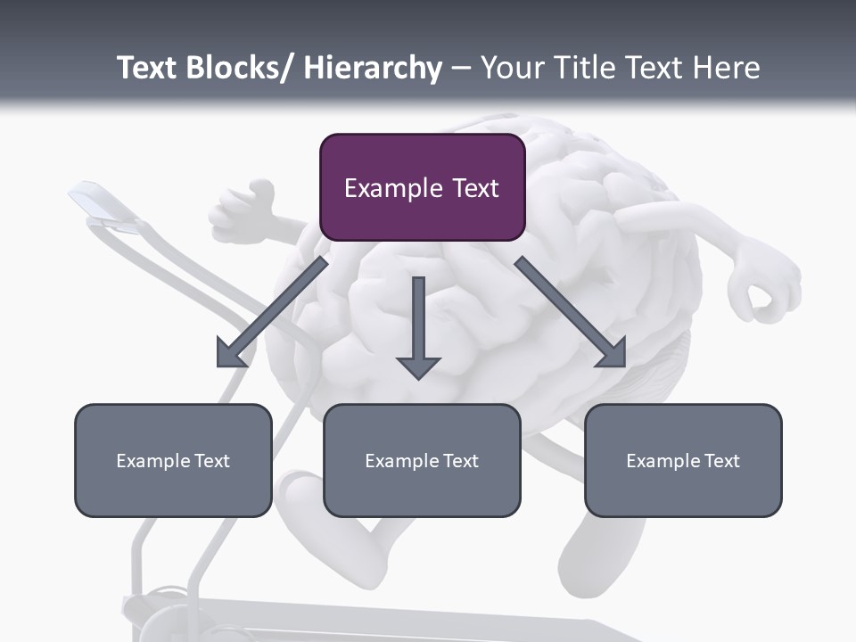 Diet Gym Sport PowerPoint Template