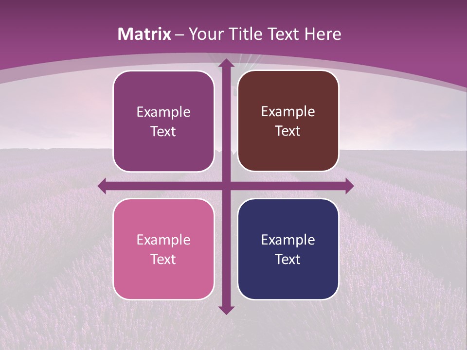 Past Time Vivid Color PowerPoint Template