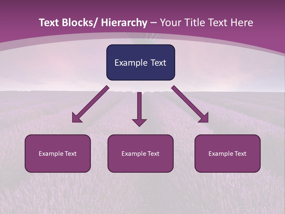 Past Time Vivid Color PowerPoint Template