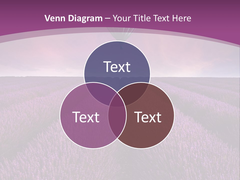 Past Time Vivid Color PowerPoint Template