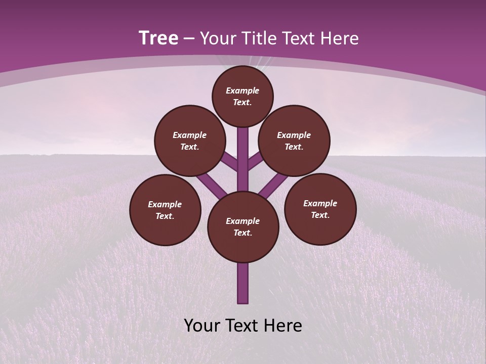 Past Time Vivid Color PowerPoint Template