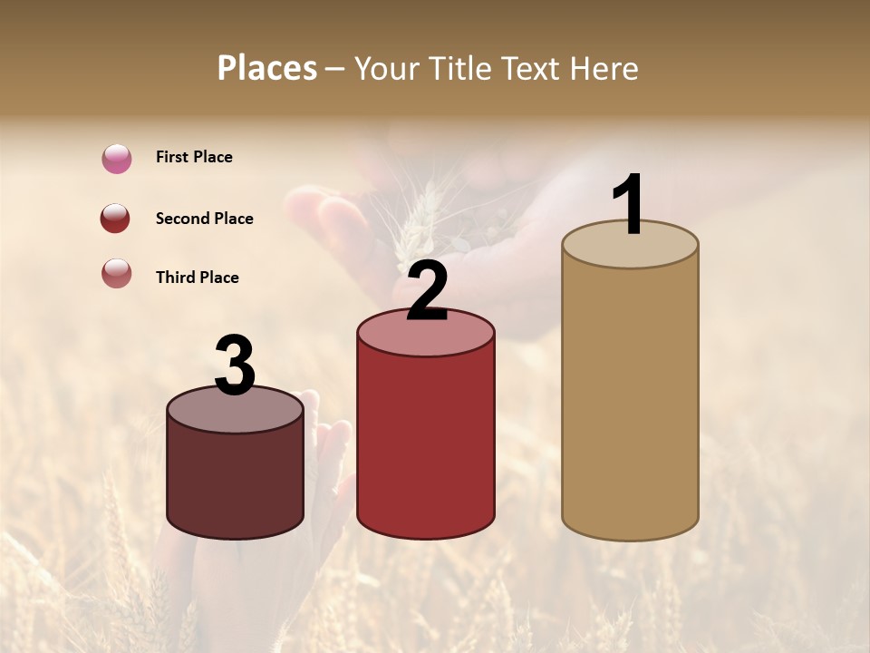 Harvesting Crop Harvest PowerPoint Template