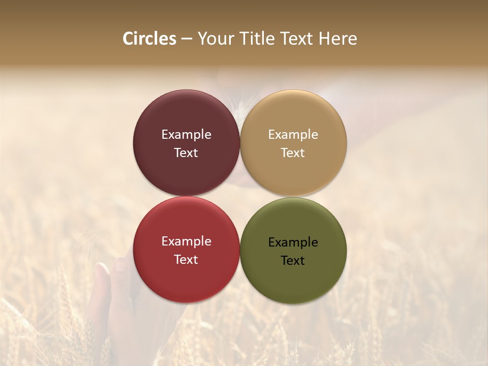 Harvesting Crop Harvest PowerPoint Template