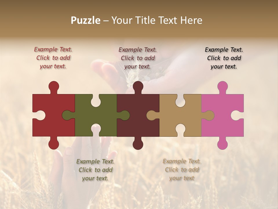 Harvesting Crop Harvest PowerPoint Template