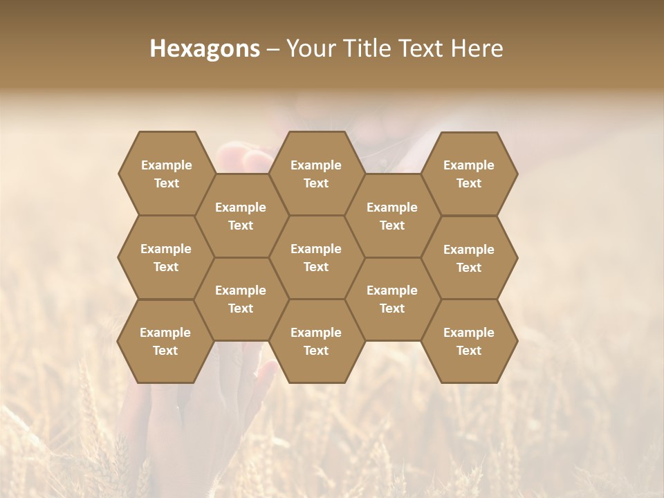 Harvesting Crop Harvest PowerPoint Template