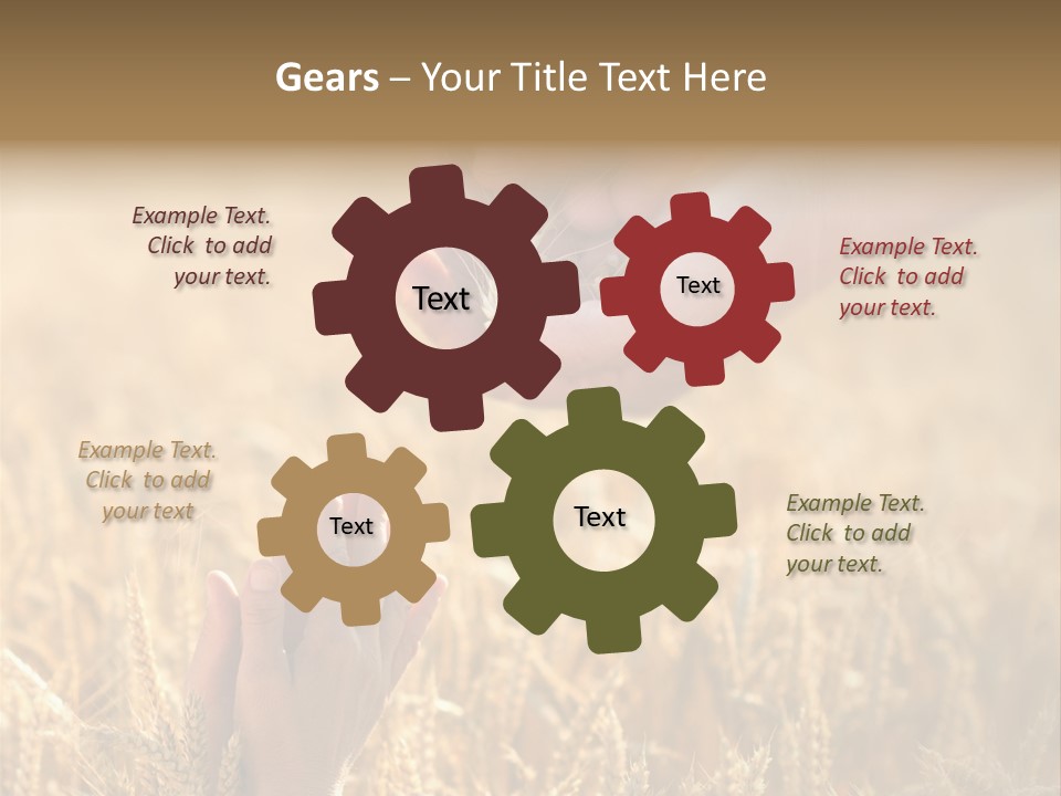Harvesting Crop Harvest PowerPoint Template