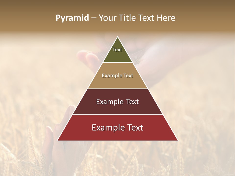 Harvesting Crop Harvest PowerPoint Template