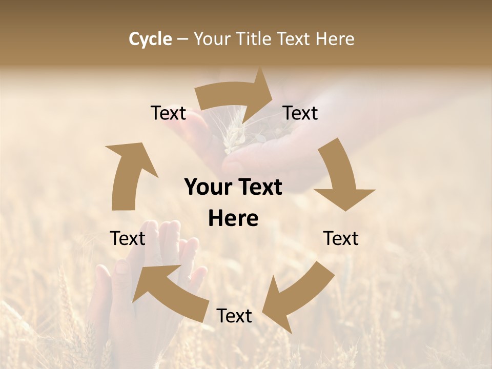 Harvesting Crop Harvest PowerPoint Template