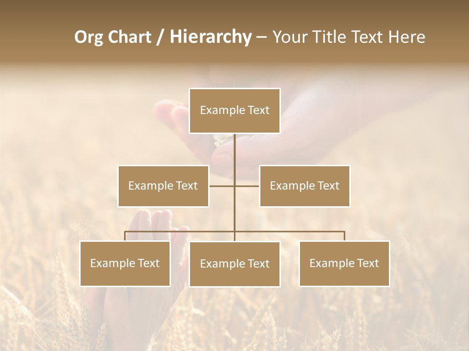 Harvesting Crop Harvest PowerPoint Template