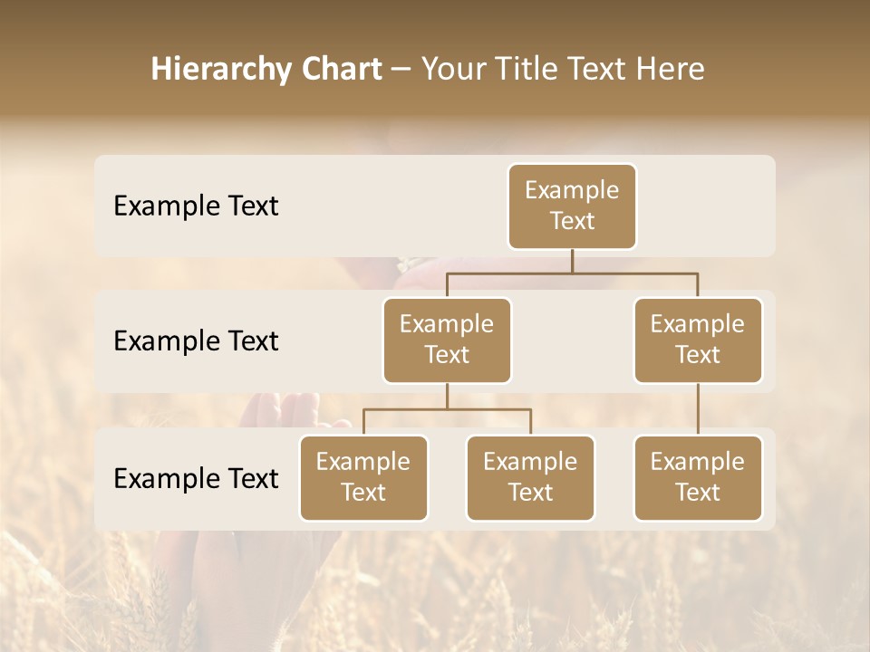Harvesting Crop Harvest PowerPoint Template