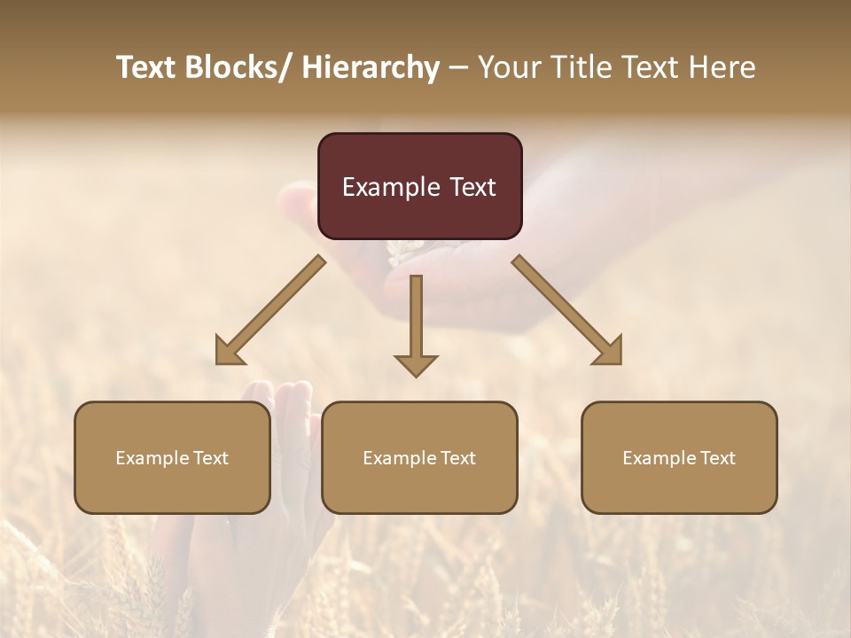 Harvesting Crop Harvest PowerPoint Template