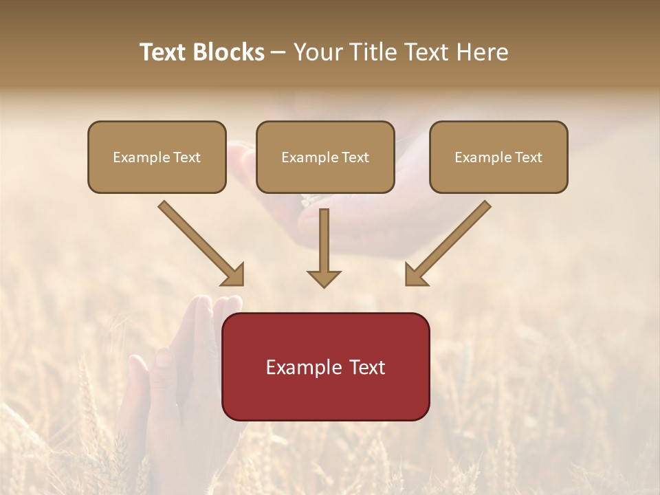 Harvesting Crop Harvest PowerPoint Template