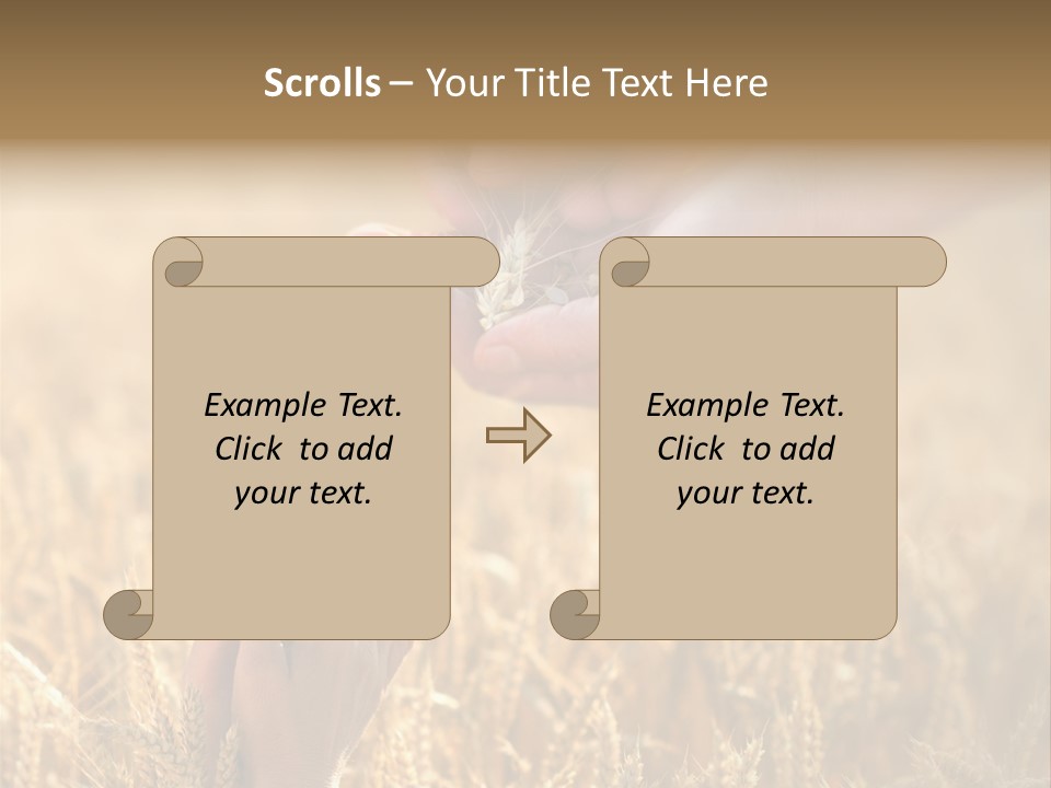 Harvesting Crop Harvest PowerPoint Template