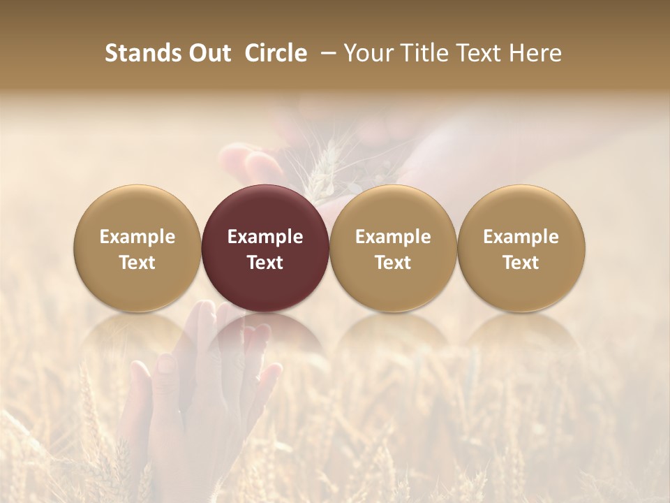 Harvesting Crop Harvest PowerPoint Template