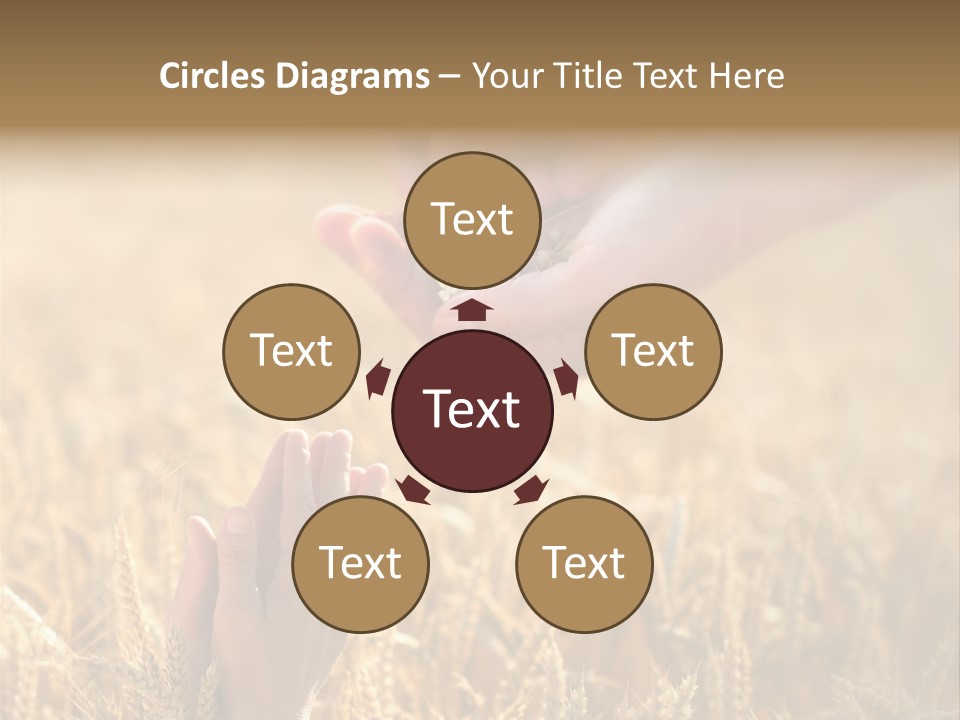 Harvesting Crop Harvest PowerPoint Template