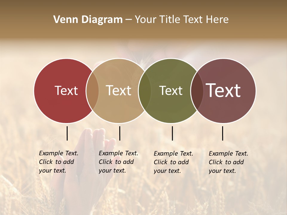 Harvesting Crop Harvest PowerPoint Template
