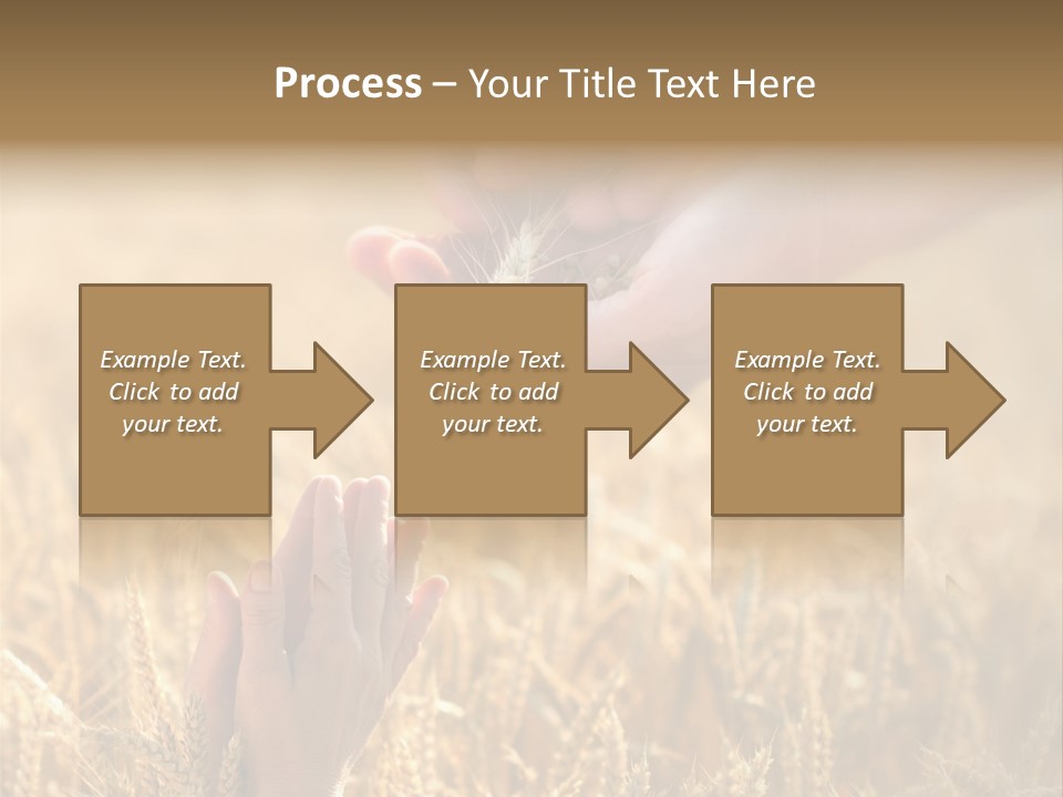 Harvesting Crop Harvest PowerPoint Template