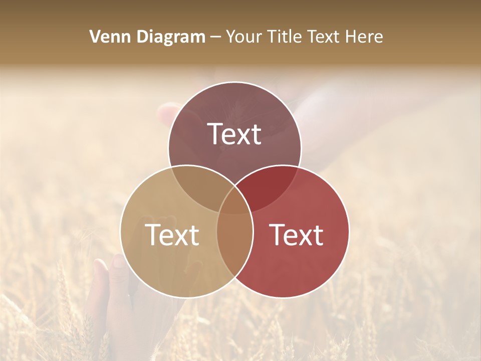 Harvesting Crop Harvest PowerPoint Template