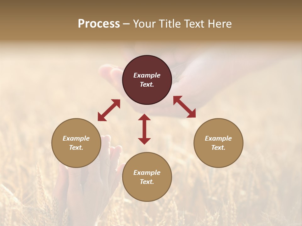 Harvesting Crop Harvest PowerPoint Template