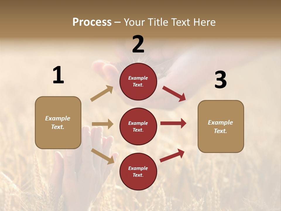 Harvesting Crop Harvest PowerPoint Template