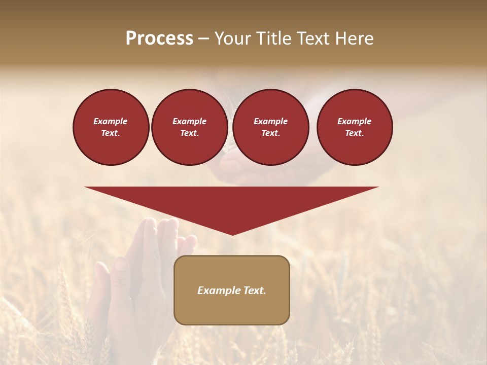 Harvesting Crop Harvest PowerPoint Template