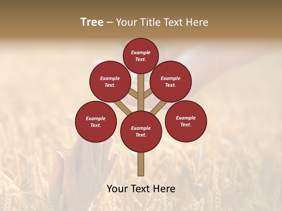 Harvesting Crop Harvest PowerPoint Template