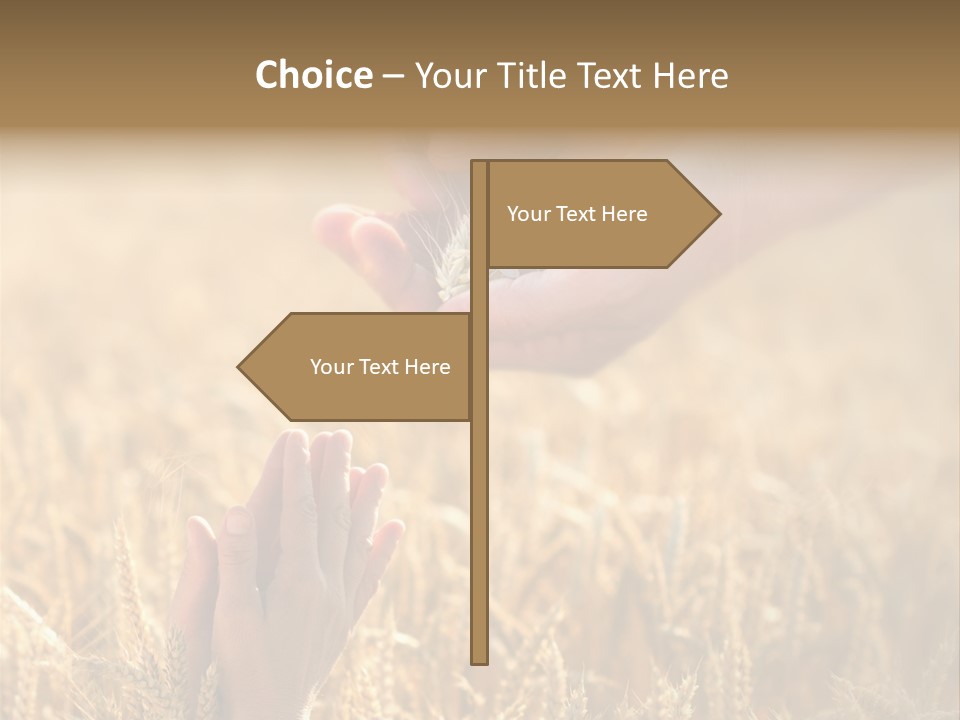 Harvesting Crop Harvest PowerPoint Template