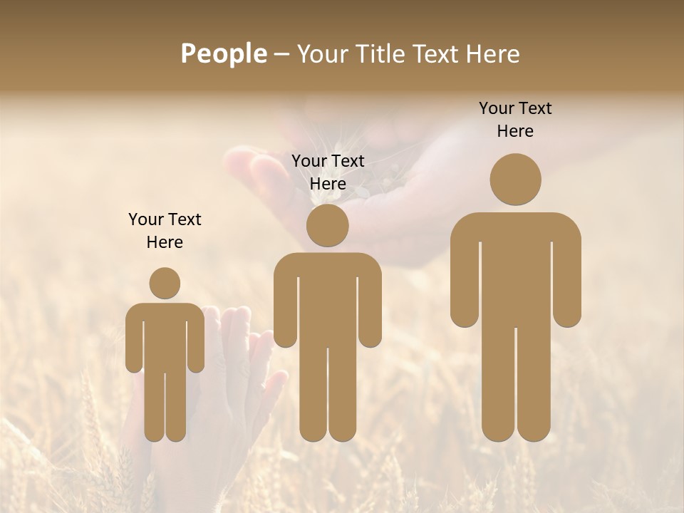 Harvesting Crop Harvest PowerPoint Template