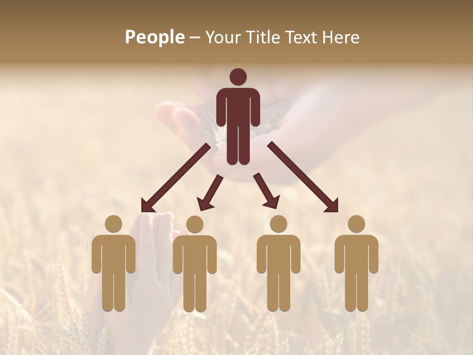 Harvesting Crop Harvest PowerPoint Template