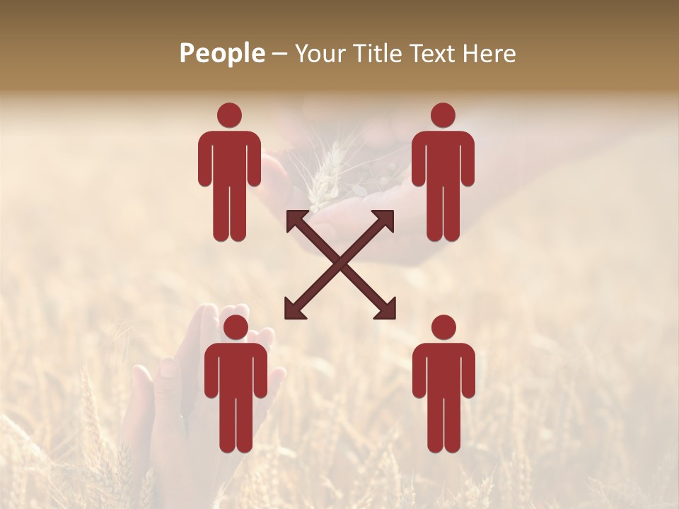 Harvesting Crop Harvest PowerPoint Template