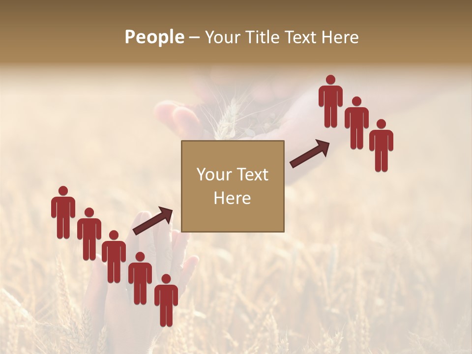 Harvesting Crop Harvest PowerPoint Template